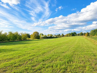 Istra, Bale, zemljište, 8.650 m2