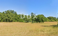 Istra, Barban, građevinsko zemljište, 5.380 m²