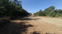 Istra, Barban - građevinsko zemljište s građevinskom dozvolom, 1115 m2