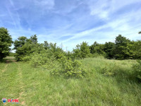 ISTRA, BARBAN, ŠUMA I ORANICA