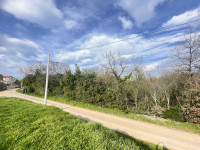 Istra, Buje, Kaštel, građevinsko zemljište 888m2, 60€/m2