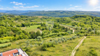 Istra, Buje, okolica- investicijska prilika!