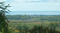 Istra, Buje, zemljište 1.341m2