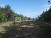 ISTRA, BUZET - Poljoprivredno zemljište, 2200 m2
