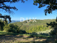 ISTRA, DRAGUĆ - građevinsko zemljište 2.257 za stambenu zgradu - stano