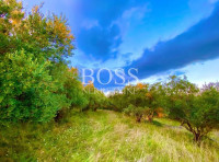 Istra-Draguć, građevinsko zemljište 2257m2