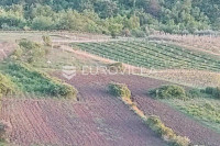 Istra, Draguć, poljoprivredno zemljište pogodno za vinograd 11174m2 ti