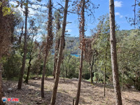 ISTRA, DUGA LUKA - PRTLOG, POLJOPRIVREDNO ZEMLJIŠTE - POGLED MORE