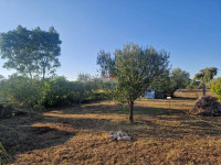 Istra, Fažana, vikend parcela