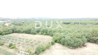 Istra, Galižana, poljoprivredno zemljište, 1.017 m²
