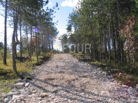 Istra, Gračišće, građevinsko/poljoprivredno zemljište, 39.091m2