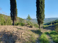 Istra, Grožnjan, građevinsko zemljište 7458 m2