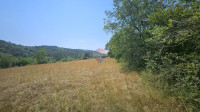 Istra, Grožnjan okolica- građevinsko zemljište