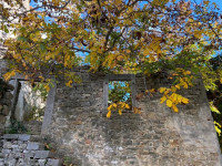 Istra, Grožnjan, stara kamena kuća u centru mjesta, za adaptaciju