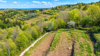 Istra, Grožnjan, zemljište s panoramskim pogledom na more!