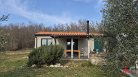 ISTRA, JURŠIĆI, MASLINIK 12.000 m² S 220 MASLINA I LEGALIZIRANIM OBJEK
