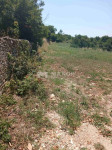 ISTRA, KANFANAR – Građevinsko zemljište 4.375 m² na atraktivnoj lokaci