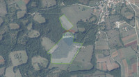 Istra - Kanfanar, Mrgani - 70 ha poljoprivrednog zemljišta u komadu