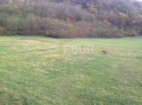 Istra, Kanfanar, poljoprivredno zemljište 13.270m2