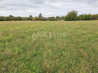 Istra, Kanfanar - zemljišta, komercijalna svrha