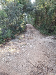 Istra, Kavran, poljoprivredno zemljište