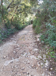 Istra, Kavran, poljoprivredno zemljište
