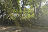 Istra, Krnica, poljoprivredno zemljište 3854 m²