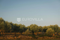Istra, Labin, atraktivno građevinsko zemljište 1.234 m² s projektom za