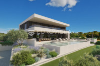 Istra, Labinci, jedinstvena vila s panoramskim pogledom