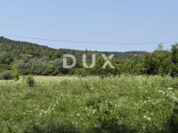 ISTRA,LANIŠĆE - Poljoprivredno zemljište