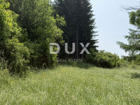 ISTRA,LANIŠĆE - Zemljište gospodarske namjene