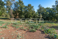 ISTRA, LINDAR - Građevinska parcela s idejnim projektom