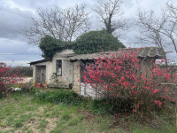 ISTRA,LOBORIKA - Kompleks zemljišta s objektima