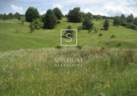 ISTRA, LUPOGLAV, POLJOPRIVREDNO ZEMLJIŠTE