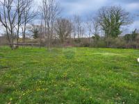 Istra, Manjadvorci, lijepa građevinska parcela na rubu mjesta