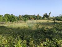 Istra, Marčana- 1 hektar poljoprivrednog zemljišta