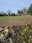 Istra, Marčana - atraktivno građevinsko zemljište, 2000 m2, PRILIKA