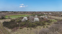 Istra, Marčana - građevinsko zemljište 500 m2