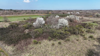 Istra, Marčana - građevinsko zemljište 700 m2