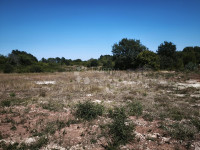 ISTRA, MARČANA – Građevinsko zemljište na mirnoj lokaciji