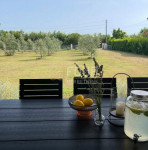 Istra, Marčana - okolica, samostojeća kuća, 160m2