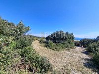 Istra, Marčana, poljoprivredno zemljište, 550m2