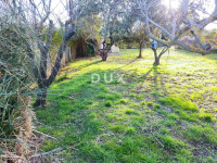 ISTRA, MEDULIN - Poljoprivredno zemljište na atraktivnoj lokaciji, 600