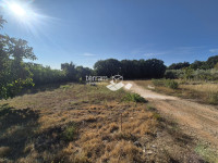 Istra, Medulin, Vinkuran, Premanturska cesta, poljoprivredno zemljište