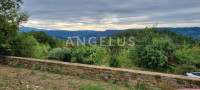 Istra, Motovun - imanje s objektima, 620m2