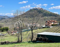 Istra, Motovun, prodaja, zemljište od 8946 m2
