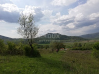 ISTRA, MOTOVUN- prostrano zemljište 53940 m2