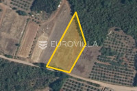 Istra, Muntić poljoprivredno zemljište u blizini centra