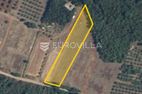 Istra, Muntić poljoprivredno zemljište u blizini centra