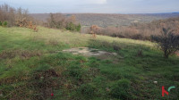 Istra, Mutvoran, poljoprivredno zemljište 12000 m2 sa objektom nedalek